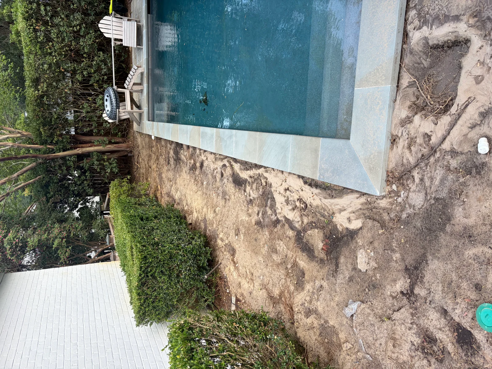 In-ground pool with teal finish, light coping, and fresh sod installation around perimeter